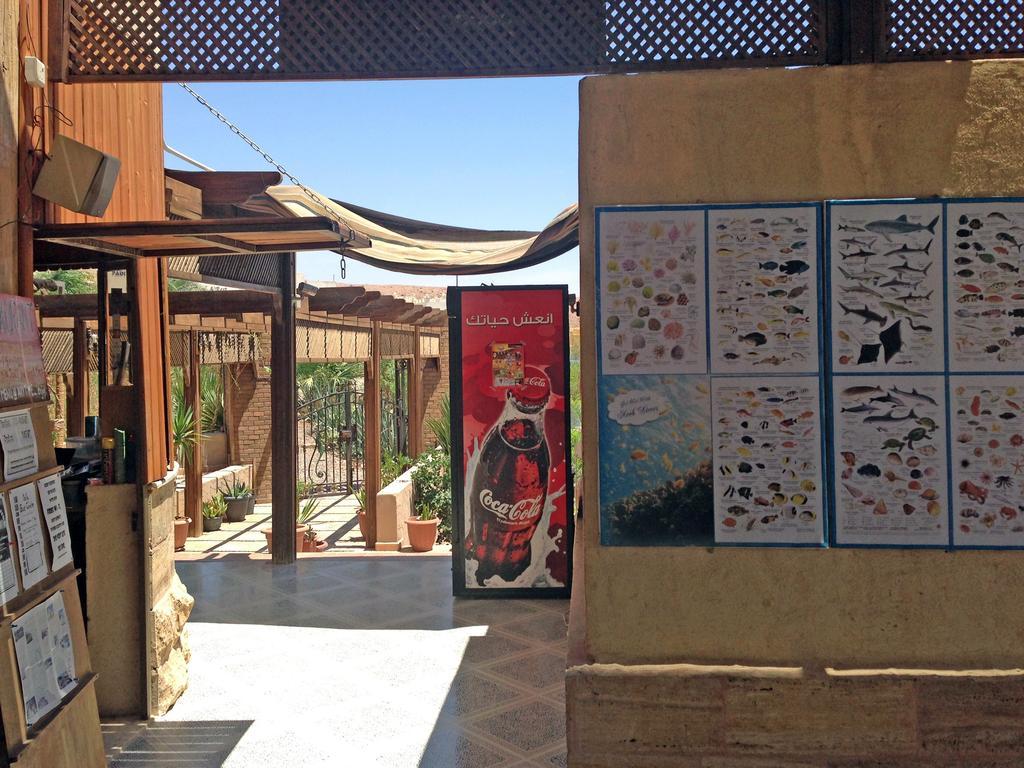 Arab Divers Dive Center&Bed&Breakfast Akaba Exterior foto